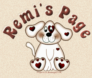 All about Remi