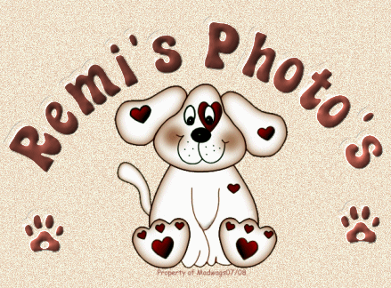 Remi's Photos